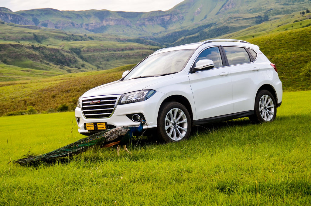 Haval at the 2019 Wesbank Festival of Motoring